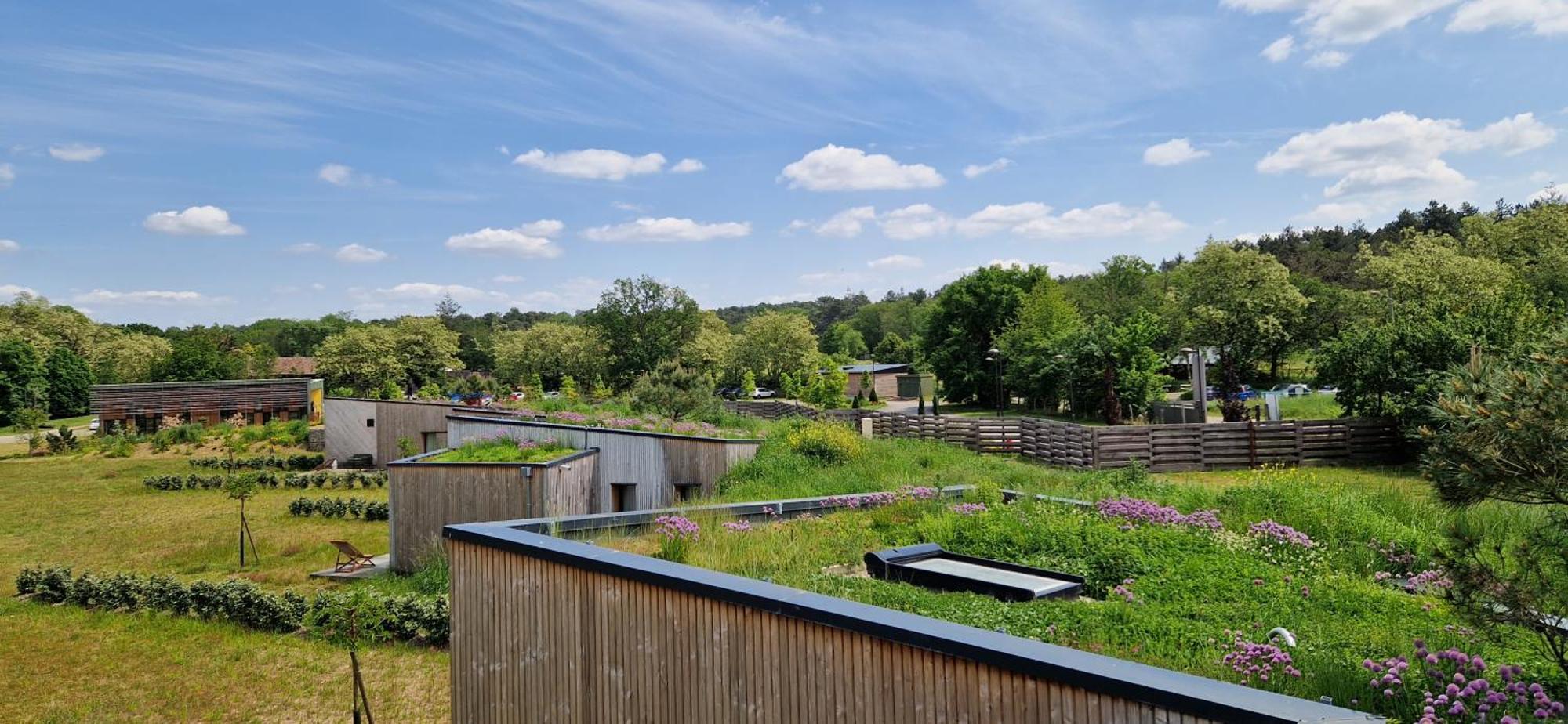 Les Eco-Lodges du Domaine de l'Epau Yvré-lʼÉvêque Extérieur photo